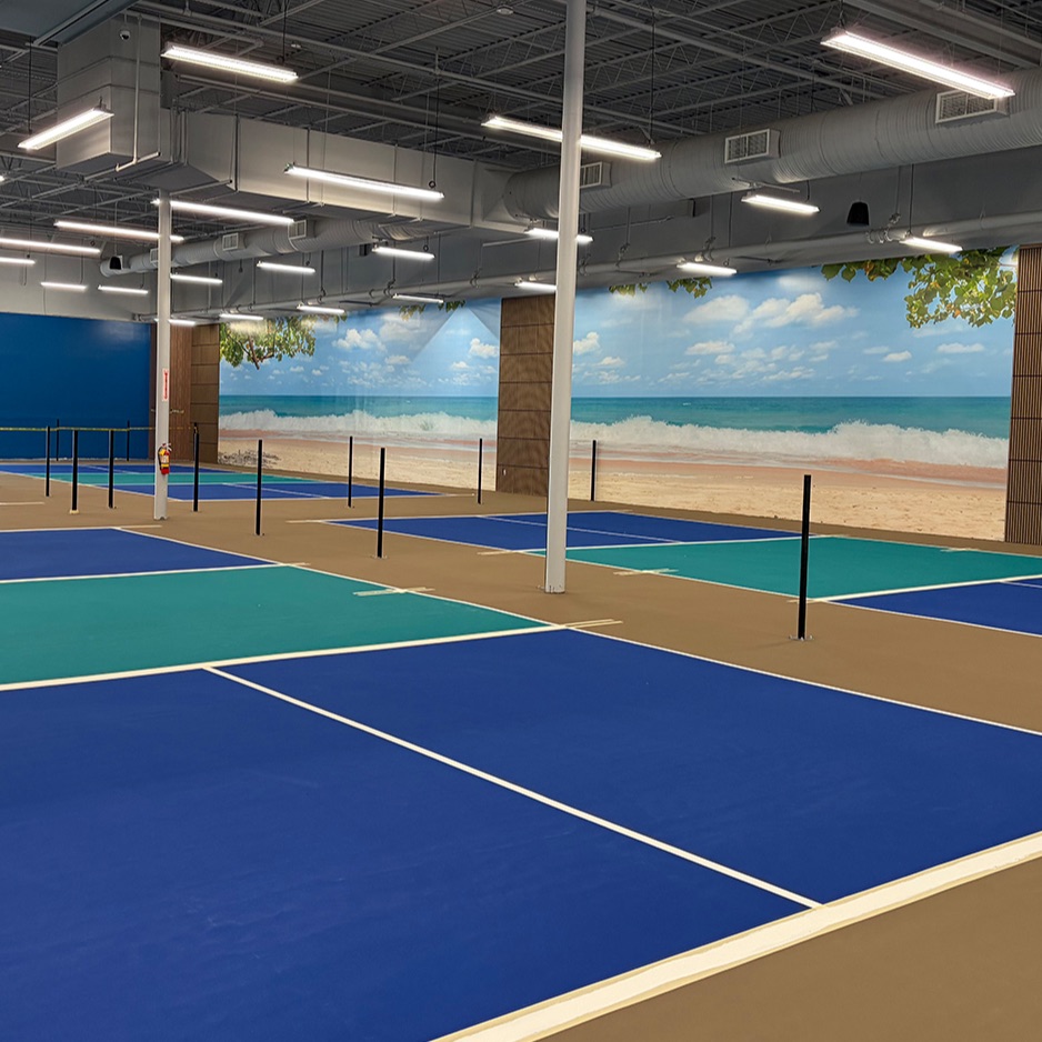 Palace of Pickleball hero