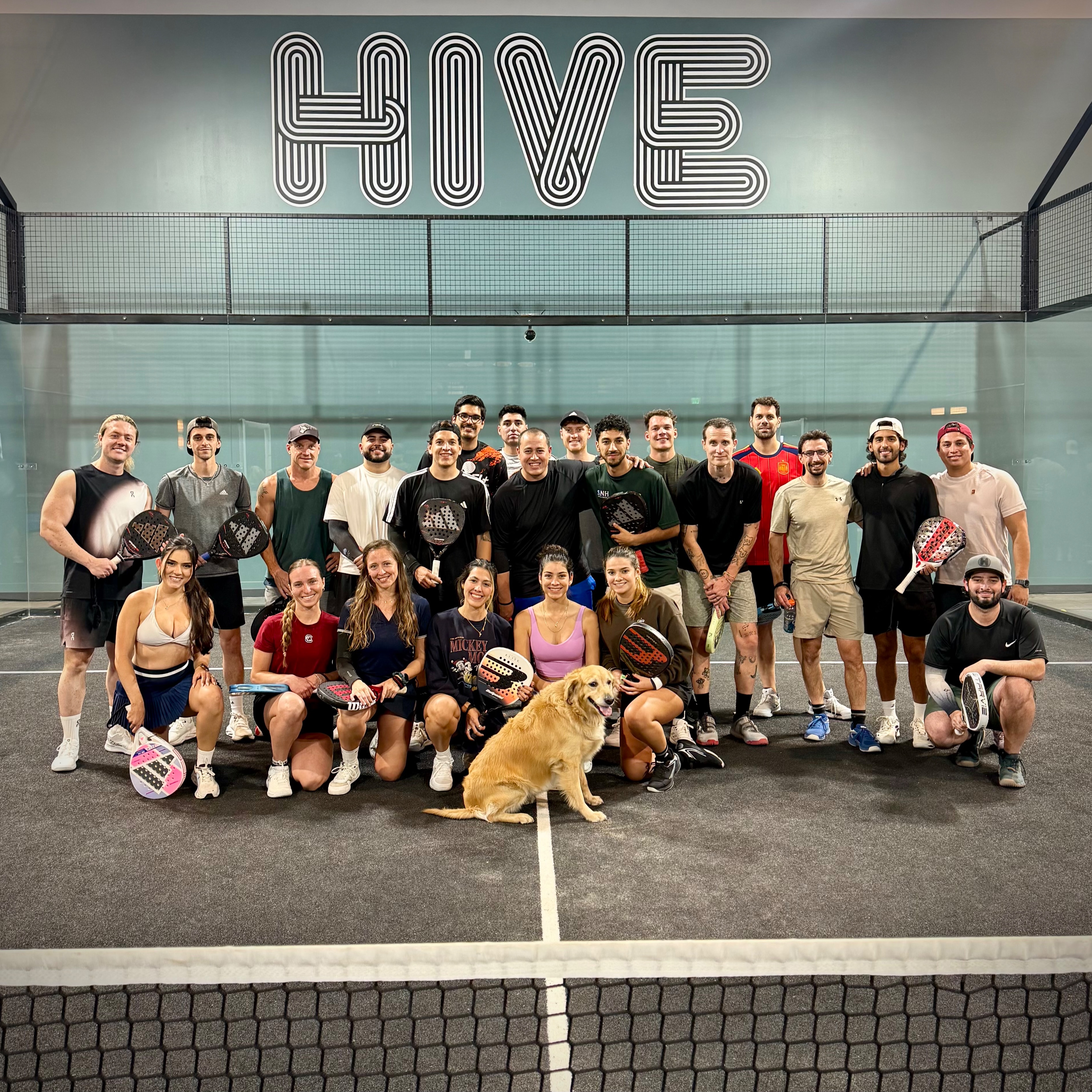 The Hive Padel Club hero